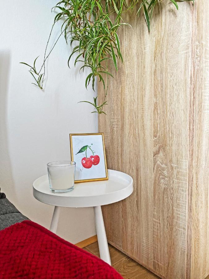Apartma Jancic Apartment Dobrovo Luaran gambar